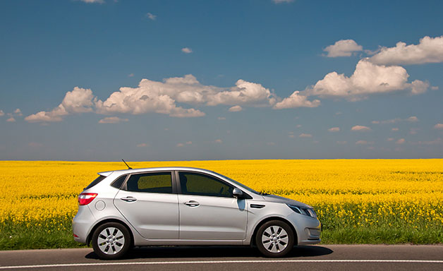 car on the road with yellow rapeseed field behind the roadway.